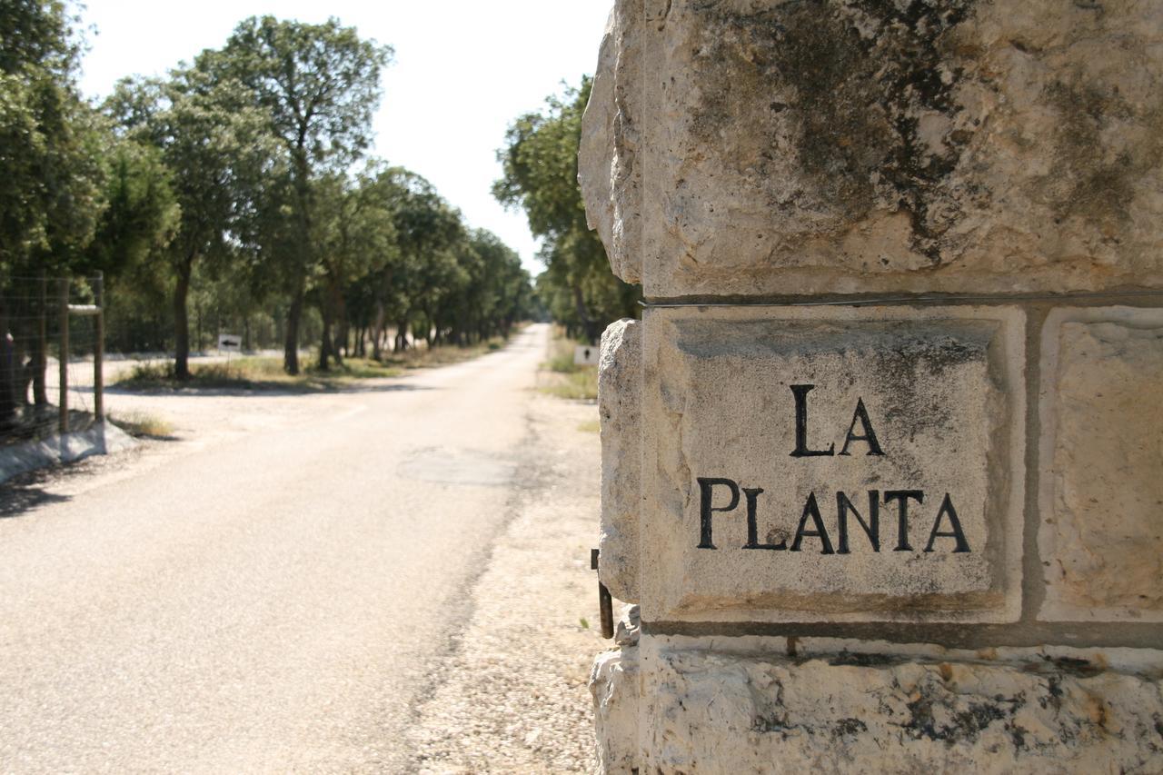 La Casita De La Planta Hotel Quintanilla de Onésimo Екстериор снимка